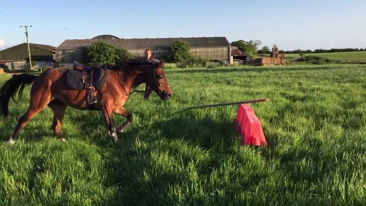 Stunning Welsh Section D X YouTube