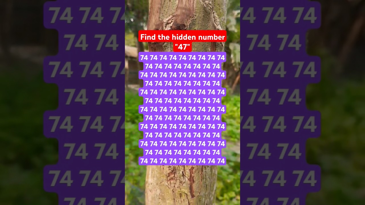 Find the hidden number "47" 