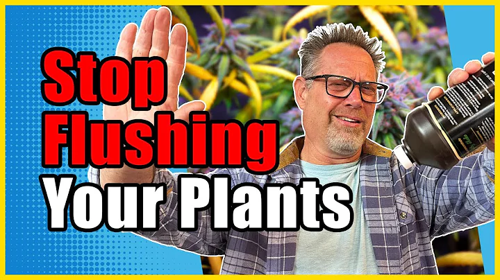 If You're Still Flushing Your Cannabis Plants in 2024, This Will Make You Change Your Mind