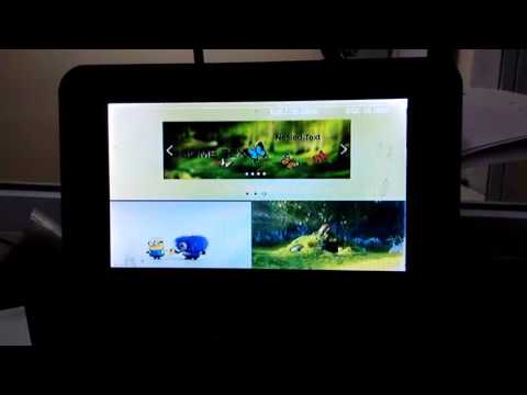 QtWebEngine and OMXPlayer