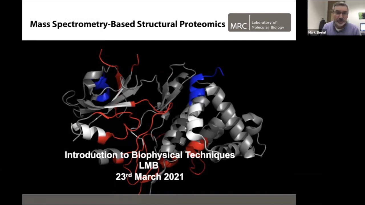 Mass Spectrometry-based Structural Proteomics - J. Mark Shekel - YouTube