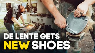 De Lente Gets New Shoes  | Horse Shelter Heroes S3E9