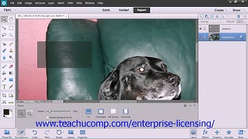 Adobe Photoshop Elements 12 Tutorial Basic Image Manipulation Employee Group Training  4.1