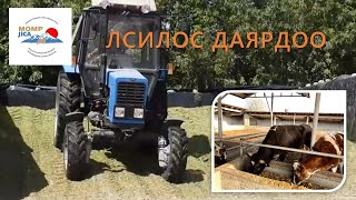 ЛСИЛОС ДАЯРДОО