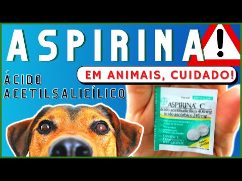 Vídeo: Dando aspirina ao seu cão