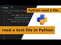 Read Text File in Python - Python Basics