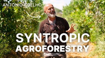 Farming Like a Forest: The Syntropic Revolution in Southern Portugal