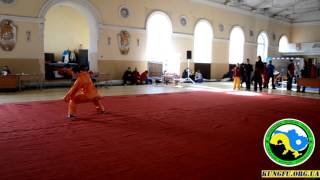 Иван Савчук, Пигуацюань ЧУ 26.03.2016 European Kungfu federation