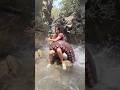 Ye Konsa Jhanwar Ha Jab Ai Ha Toh Kux Use Ham V Kaele Shikhar Kamya Ai Funny 