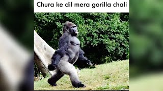 Memes Only Legends Will Find Funny Legend Memes Dank Memes Dirty Memes