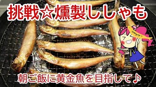 ２回目 キッチン燻製で【燻製ししゃも】。朝食用に黄金魚を目指して燻しました♪