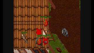 Tibia | Nebula Halloween Hare