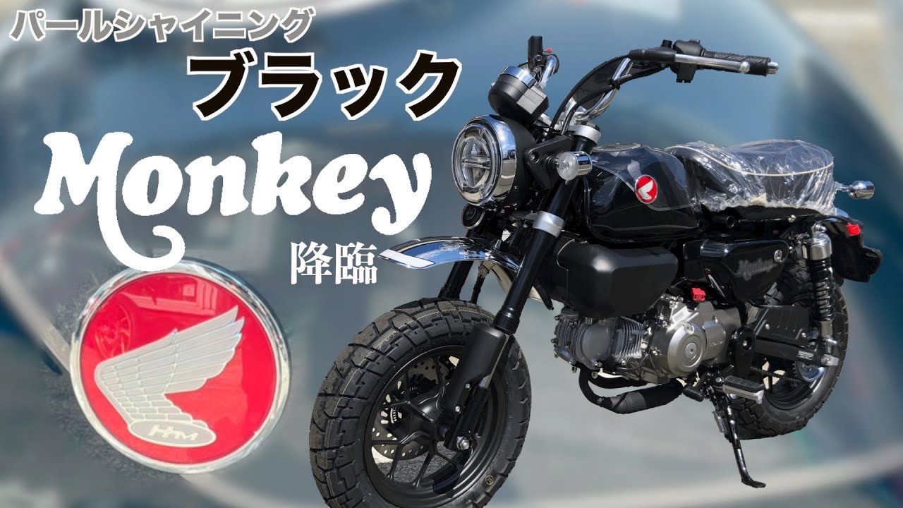 ブラックモンキー降臨】光輝く黒 - YouTube