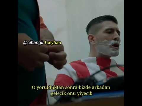 Cihangir Ceyhan – 4 Tane Çakal Biraraya Gelmiş 1 Tane Aslan Nasıl Düşürürük Diye Konuşuyorlar 🦁 🦁