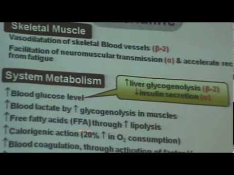 video phone beyonce mp3 Dr.Mohsen - A.N.S 9 - Sympathomimetics