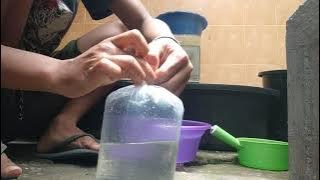 BIBIT LELE bertahan tanpa oksigen dalam kantong plastik