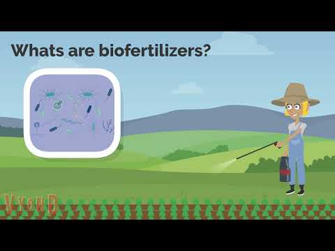 BSocial_PGPM project - Towards improving biofertilizers