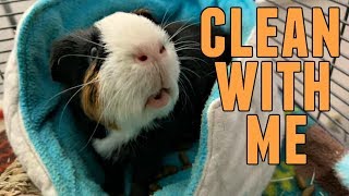 Clean With Me! || Guinea Pig Critter Nation by Tori Lynn 5,702 views 5 years ago 6 minutes, 13 seconds
