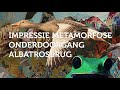 Impressie metamorfose onderdoorgang Albatrosbrug
