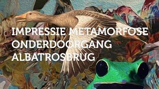 Impressie metamorfose onderdoorgang Albatrosbrug