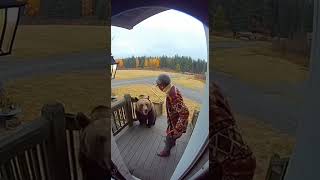 “Grandma vs. Bear: The Ultimate Showdown 🐻👵” #ai #funny #comedy #aishorts #foryou