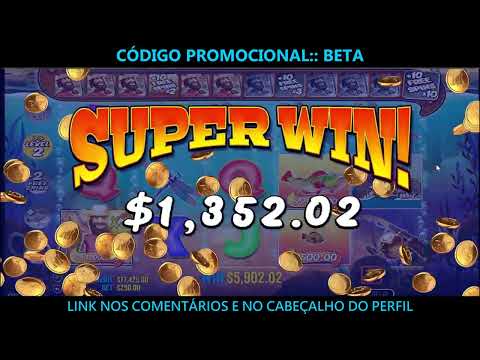 Gioca ai Slot Più Popolari su My Stake Casino: Il Meglio del Casinò Online in Italia