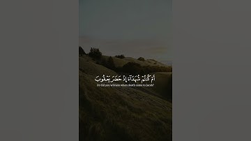 تلاوة عطره بصوت القارئ أويس عبدالفتاح