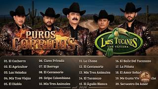 30 GREATEST HITS BY LOS TUCANES DE TIJUANA - 2 HOURS OF UNFORGETTABLE MUSIC