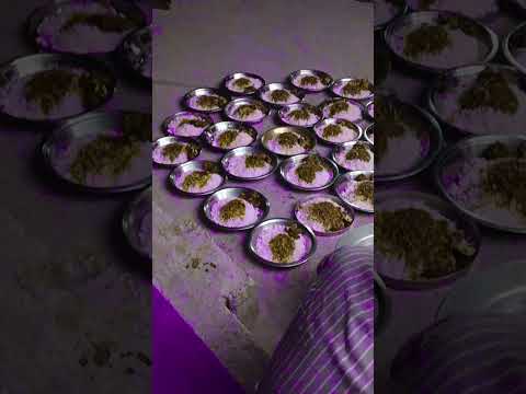 Nhuybfy Hgtg Fg Mind Warehouse