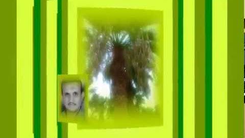 الجزء الثاني والعشرون سورة الأحزاب(ترجى من تشاء) جمال على العارف