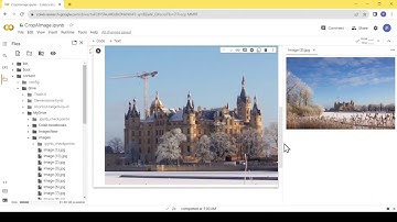 Crop Image using Python and Colab