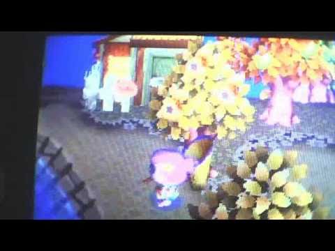 Animal Crossing Wild World: My Money Tree+How To Make One