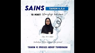 Sains Tahun 4: Proses Hidup Tumbuhan