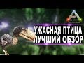 Ужасная птица (Terror bird)  в АРК. Лучший обзор: приручение, разведение и способности  в ark