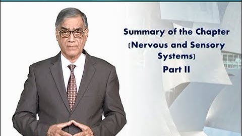 Summary: Nervous and Sensory Systems - Part 2 | Animal Form & Function 1 (Theory) | ZOO516T_Topic098