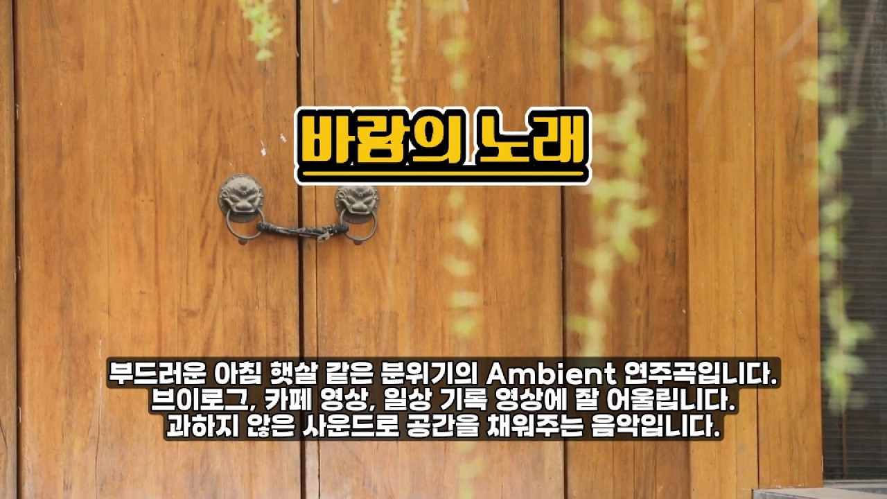 바람의 노래 따뜻한 바람 #MorningMusic #GentleAmbient #CalmBGM #DailyVlogMusic