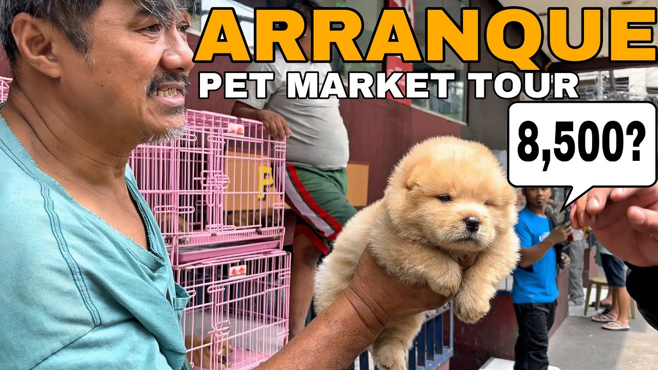 PET MARKET TIANGGE IN STA.CRUZ MANILA CITY PHILIPPINES|JUNE ,21,2025