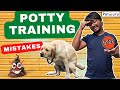 Dont make these puppy potty training mistakes and solution