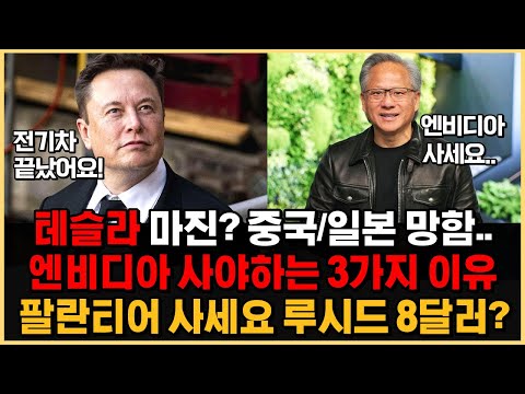 &quot;테슬라 마진? 중국/일본 전기차 망했어요. 엔비디아 사야하는 3가지 이유&quot; 팔란티어 살때가 왔어요. 루시드 목표주가 8달러?