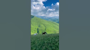 قرآن كريم | الَّذِينَ آمَنُوا وَتَطْمَئِنُّ قُلُوبُهُم بِذِكْرِ اللَّهِ ۗ  تلاوة الشيخ محمد اللحيدان