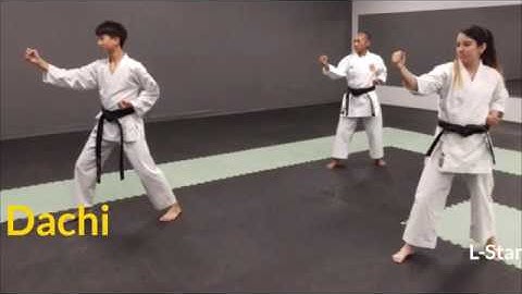 Beginner Kata Tutorial: Heian Shodan