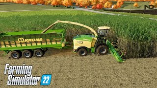 Farming Simulator 22 #19 - Ngày Hội Thu Hoạch (Cotton, Mía, Củ Cải Đường...) screenshot 4