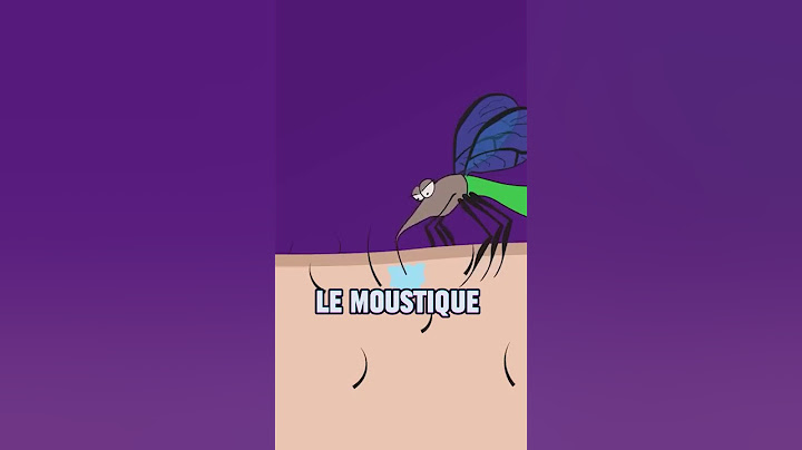 COMMENT LES MOUSTIQUES S’EMPARENT DE VOTRE SANG! 🦟