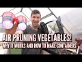Air Pruning and Grow Bags | Why this is the BEST method of container gardening for MASSIVE HARVESTS!