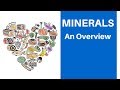 Important minerals you need and the foods that contain them