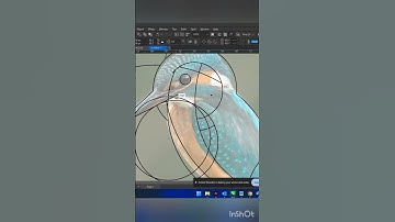 simple bird logo from image #coreldraw #logodesign #tipsandtricks watch more on channel #learncorel