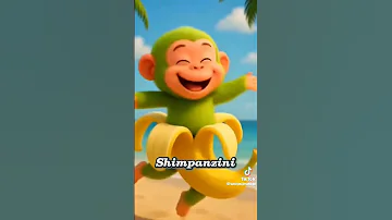باليرينا كابتشينا تونغ تونغ ساهور 