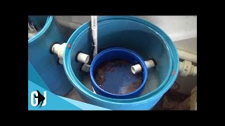 #525: Upgrading 55 Gallon Mechanical Aquarium Filter  DIY Wednesday