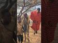 When Masai Meet S Hadzabe Chaba Dance Funny Funnyshorts When Masai Meet S Hadzabe Chaba Dance Funny Funnyshorts