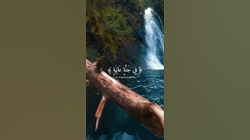 عبد الرحمن مسعد‏‏￼‏                            سورة الغاشية